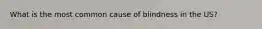 What is the most common cause of blindness in the US?