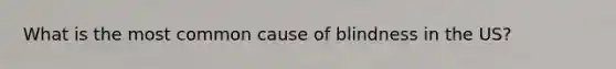 What is the most common cause of blindness in the US?