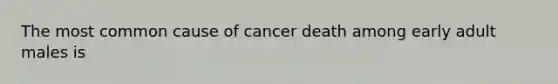 The most common cause of cancer death among early adult males is