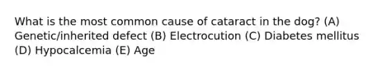 What is the most common cause of cataract in the dog? (A) Genetic/inherited defect (B) Electrocution (C) Diabetes mellitus (D) Hypocalcemia (E) Age