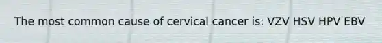 The most common cause of cervical cancer is: VZV HSV HPV EBV