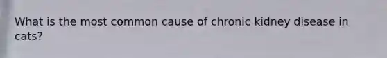 What is the most common cause of chronic kidney disease in cats?