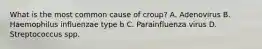 What is the most common cause of croup? A. Adenovirus B. Haemophilus influenzae type b C. Parainfluenza virus D. Streptococcus spp.