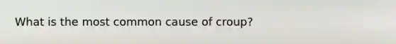 What is the most common cause of croup?