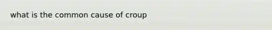 what is the common cause of croup