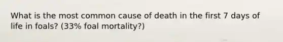 What is the most common cause of death in the first 7 days of life in foals? (33% foal mortality?)