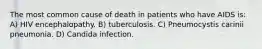 The most common cause of death in patients who have AIDS is: A) HIV encephalopathy. B) tuberculosis. C) Pneumocystis carinii pneumonia. D) Candida infection.