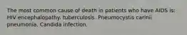 The most common cause of death in patients who have AIDS is: HIV encephalopathy. tuberculosis. Pneumocystis carinii pneumonia. Candida infection.