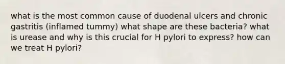 what is the most common cause of duodenal ulcers and chronic gastritis (inflamed tummy) what shape are these bacteria? what is urease and why is this crucial for H pylori to express? how can we treat H pylori?