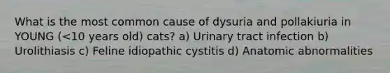 What is the most common cause of dysuria and pollakiuria in YOUNG (<10 years old) cats? a) Urinary tract infection b) Urolithiasis c) Feline idiopathic cystitis d) Anatomic abnormalities