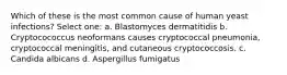 Which of these is the most common cause of human yeast infections? Select one: a. Blastomyces dermatitidis b. Cryptocococcus neoformans causes cryptococcal pneumonia, cryptococcal meningitis, and cutaneous cryptococcosis. c. Candida albicans d. Aspergillus fumigatus