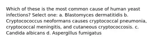 Which of these is the most common cause of human yeast infections? Select one: a. Blastomyces dermatitidis b. Cryptocococcus neoformans causes cryptococcal pneumonia, cryptococcal meningitis, and cutaneous cryptococcosis. c. Candida albicans d. Aspergillus fumigatus