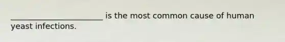 _______________________ is the most common cause of human yeast infections.