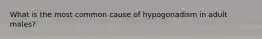 What is the most common cause of hypogonadism in adult males?