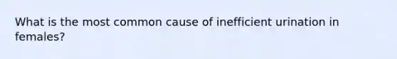 What is the most common cause of inefficient urination in females?