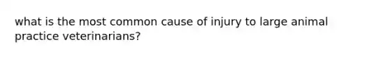 what is the most common cause of injury to large animal practice veterinarians?