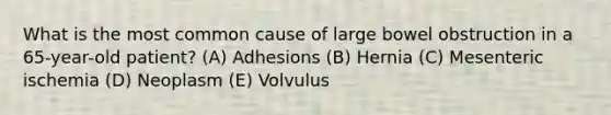 What is the most common cause of large bowel obstruction in a 65-year-old patient? (A) Adhesions (B) Hernia (C) Mesenteric ischemia (D) Neoplasm (E) Volvulus