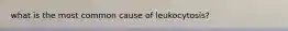 what is the most common cause of leukocytosis?