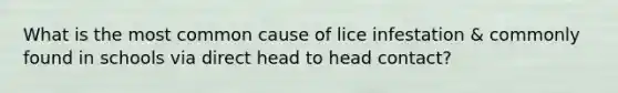 What is the most common cause of lice infestation & commonly found in schools via direct head to head contact?