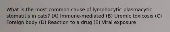 What is the most common cause of lymphocytic-plasmacytic stomatitis in cats? (A) Immune-mediated (B) Uremic toxicosis (C) Foreign body (D) Reaction to a drug (E) Viral exposure