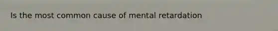 Is the most common cause of mental retardation