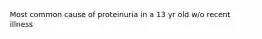 Most common cause of proteinuria in a 13 yr old w/o recent illness