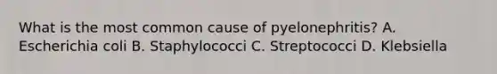 What is the most common cause of pyelonephritis? A. Escherichia coli B. Staphylococci C. Streptococci D. Klebsiella