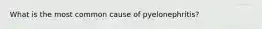 What is the most common cause of pyelonephritis?