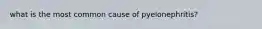 what is the most common cause of pyelonephritis?
