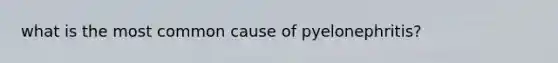 what is the most common cause of pyelonephritis?