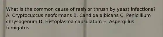 What is the common cause of rash or thrush by yeast infections? A. Cryptocuccus neoformans B. Candida albicans C. Penicillium chrysogenum D. Histoplasma capsulatum E. Aspergillus fumigatus