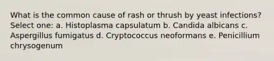 What is the common cause of rash or thrush by yeast infections? Select one: a. Histoplasma capsulatum b. Candida albicans c. Aspergillus fumigatus d. Cryptococcus neoformans e. Penicillium chrysogenum