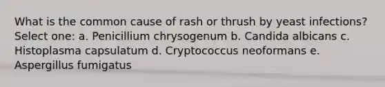 What is the common cause of rash or thrush by yeast infections? Select one: a. Penicillium chrysogenum b. Candida albicans c. Histoplasma capsulatum d. Cryptococcus neoformans e. Aspergillus fumigatus