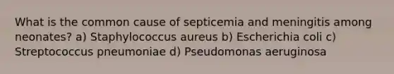 What is the common cause of septicemia and meningitis among neonates? a) Staphylococcus aureus b) Escherichia coli c) Streptococcus pneumoniae d) Pseudomonas aeruginosa