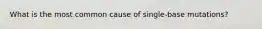 What is the most common cause of single-base mutations?