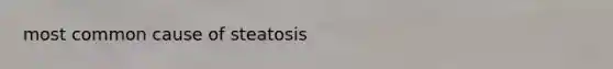 most common cause of steatosis