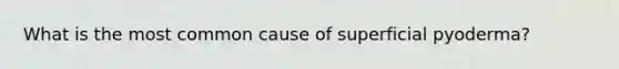 What is the most common cause of superficial pyoderma?