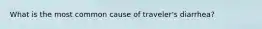 What is the most common cause of traveler's diarrhea?