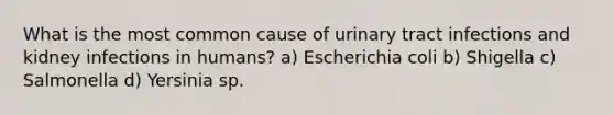 What is the most common cause of urinary tract infections and kidney infections in humans? a) Escherichia coli b) Shigella c) Salmonella d) Yersinia sp.