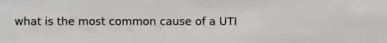 what is the most common cause of a UTI