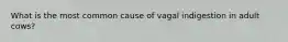 What is the most common cause of vagal indigestion in adult cows?