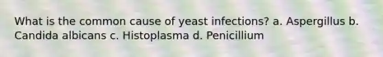 What is the common cause of yeast infections? a. Aspergillus b. Candida albicans c. Histoplasma d. Penicillium