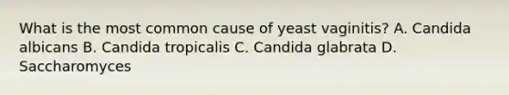 What is the most common cause of yeast vaginitis? A. Candida albicans B. Candida tropicalis C. Candida glabrata D. Saccharomyces