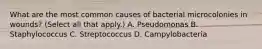 What are the most common causes of bacterial microcolonies in​ wounds? ​(Select all that​ apply.) A. Pseudomonas B. Staphylococcus C. Streptococcus D. Campylobacteria