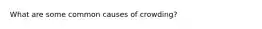 What are some common causes of crowding?