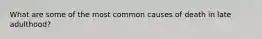 What are some of the most common causes of death in late adulthood?