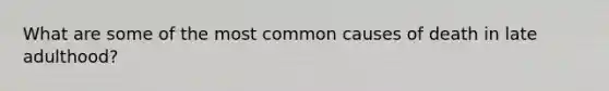 What are some of the most common causes of death in late adulthood?