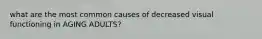 what are the most common causes of decreased visual functioning in AGING ADULTS?