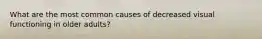 What are the most common causes of decreased visual functioning in older adults?
