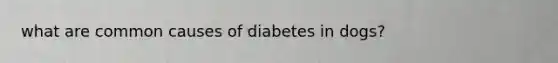 what are common causes of diabetes in dogs?